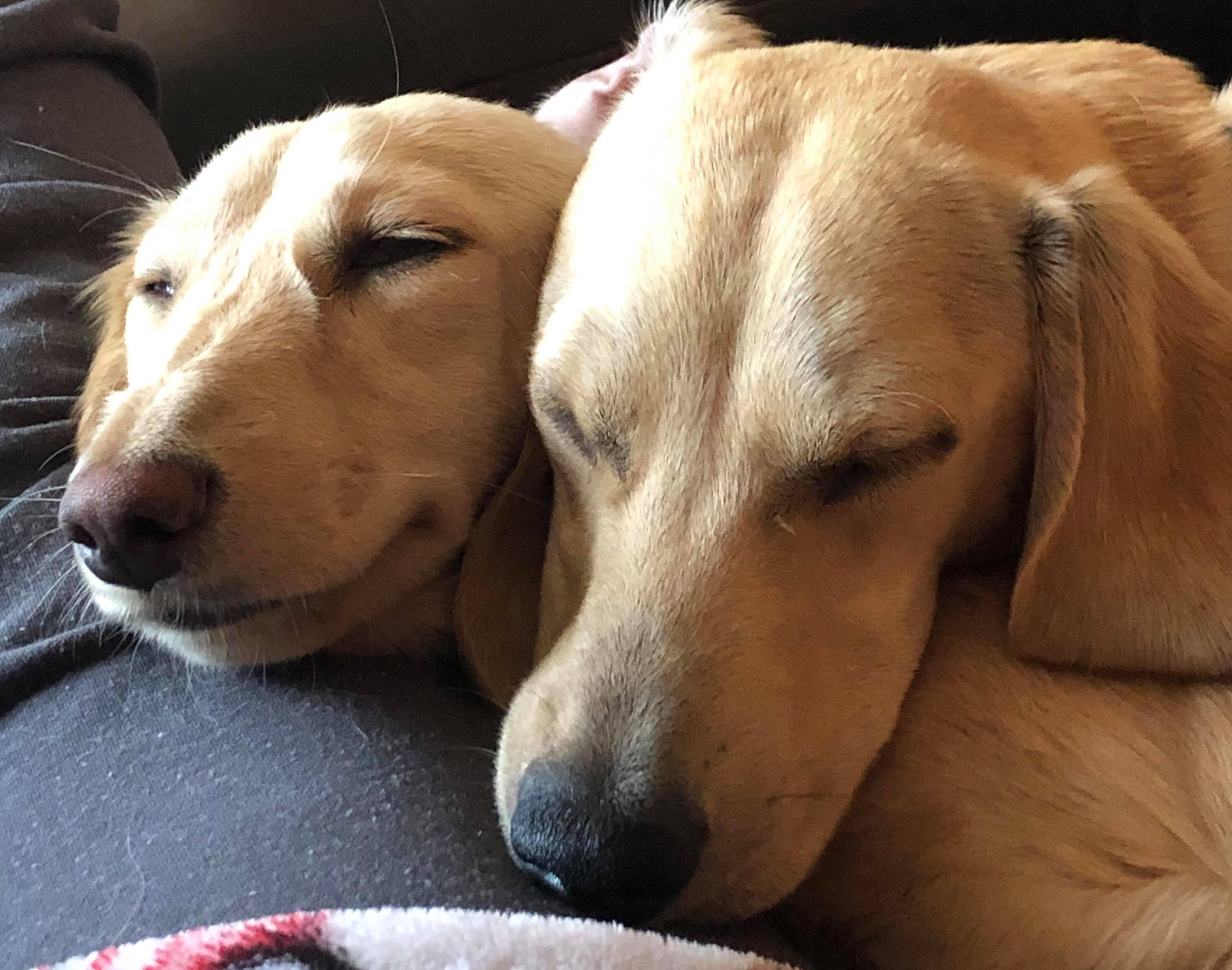 duncanAndPearl
